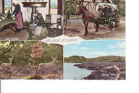 Ansichtkaart 	Drenthe	4-luik	Paarden, Verzenden, 1960 tot 1980, Gelopen, Drenthe
