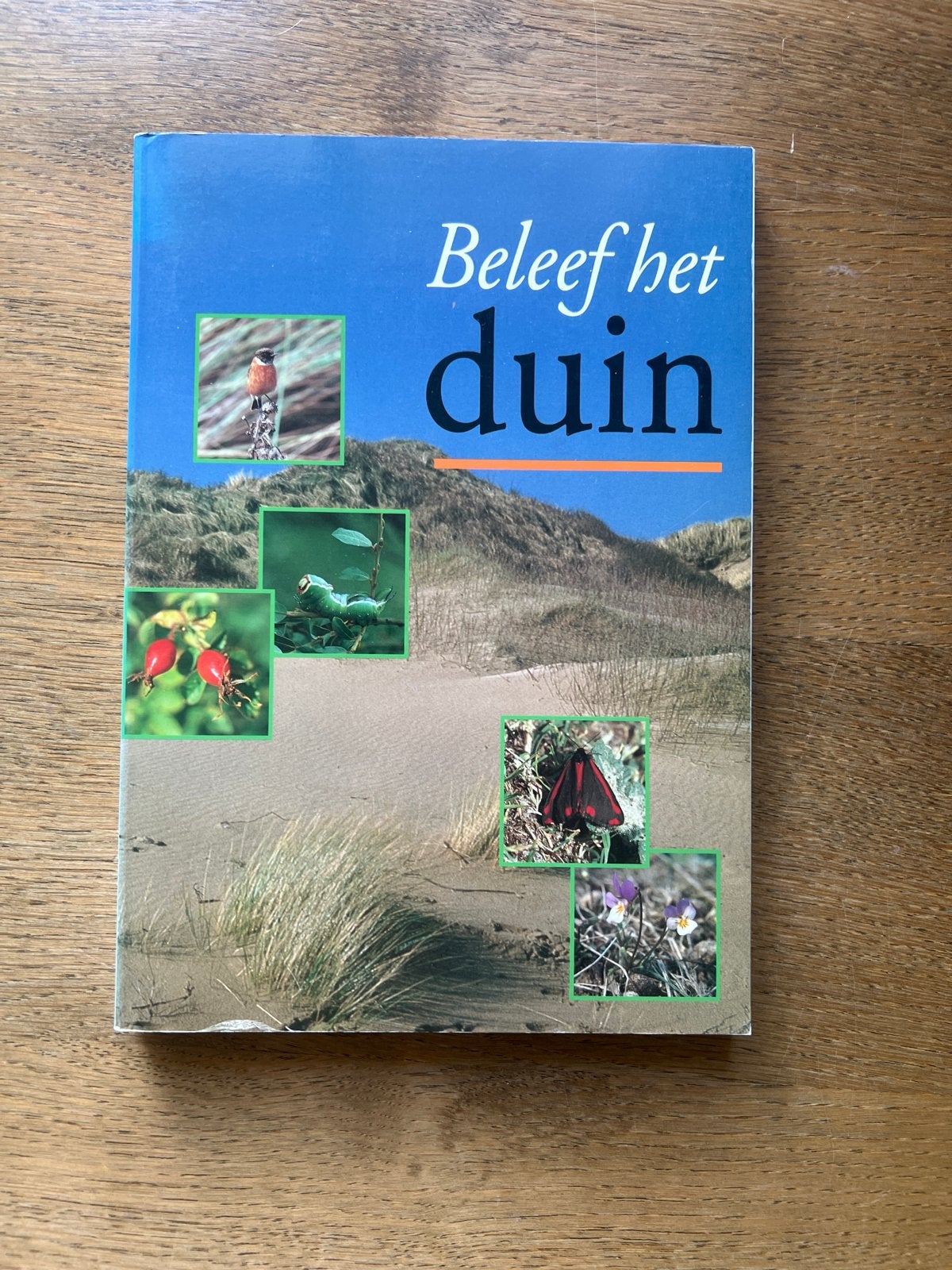 Beleef het duin - Natuurgids over duinlandschap, Boeken, Natuur, Ophalen of Verzenden, Gelezen, Natuur algemeen