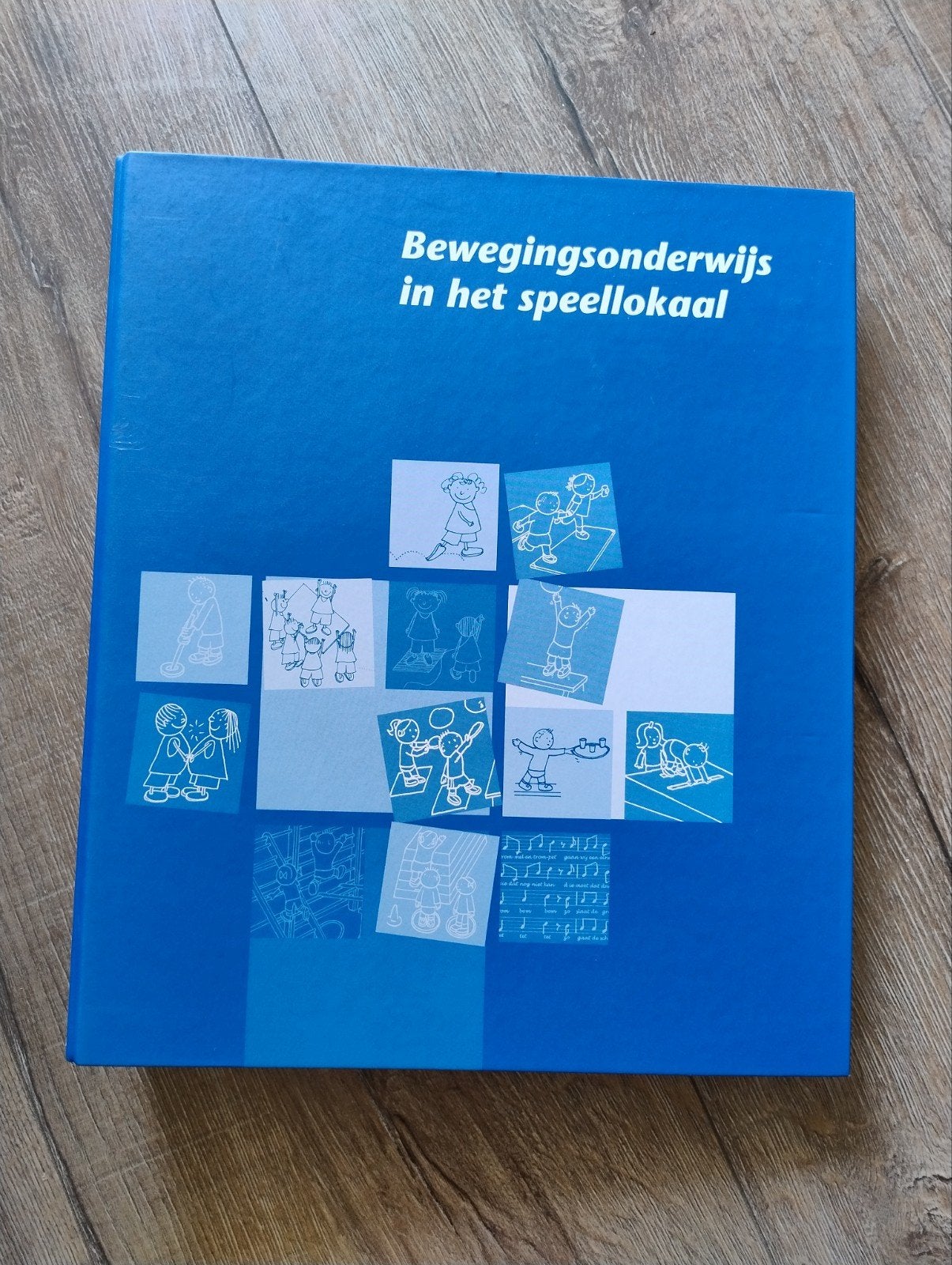 Bewegingsonderwijs in het speellokaal + CD-ROM, Boeken, Gamma, Onbekend, Gelezen, HBO