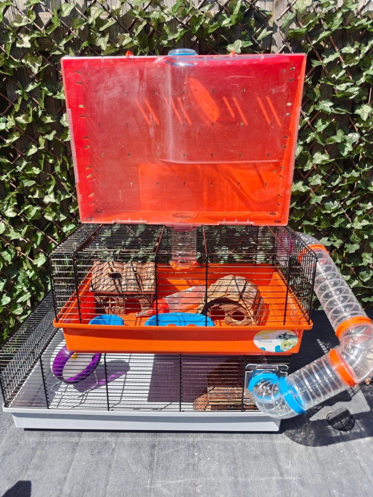 Knaagdierenhok, Dieren en Toebehoren, Knaagdieren en Konijnen | Hokken en Kooien, Hok, 90 cm of meer, Minder dan 75 cm, Ophalen