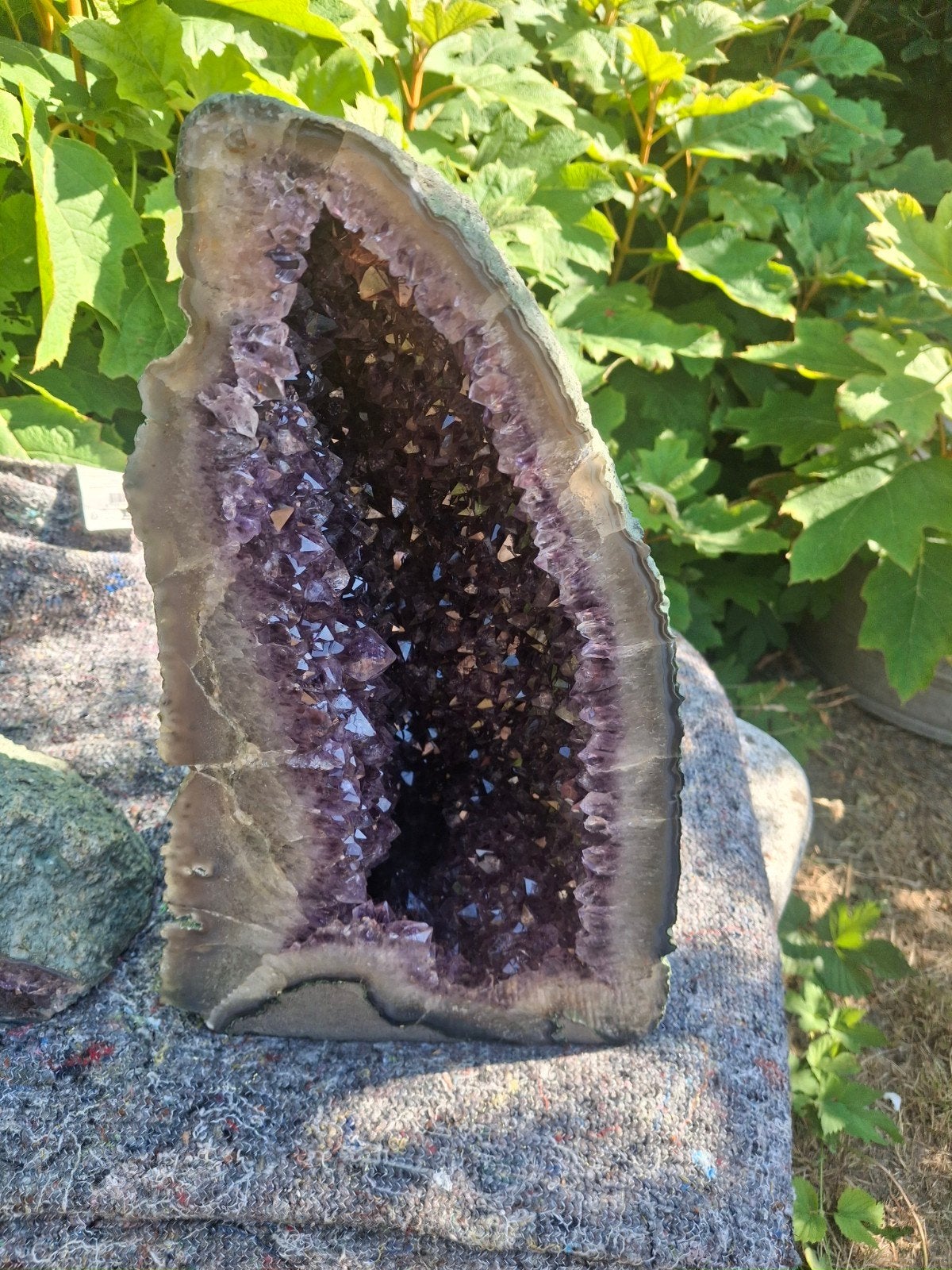Amethist Geode - 14.9 kg AAA-kwaliteit, Ophalen of Verzenden, Mineraal