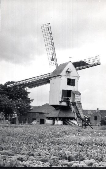 (BG133) Ansichtkaart België molen Geel Elsummolen 1980, Verzamelen, Ansichtkaarten | België, Verzenden, 1980 tot heden, Ongelopen