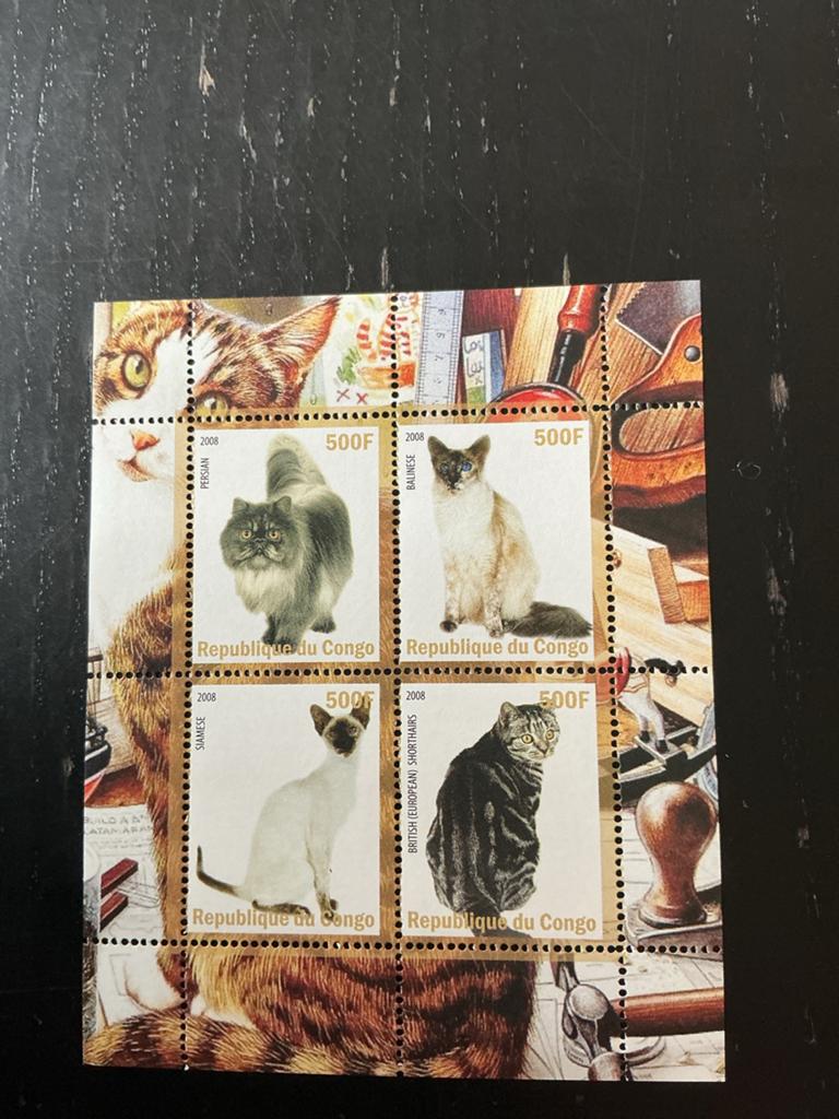 Postzegels Congo: Kattenrassen (2008) en Turkse Angora (1996, Verzenden