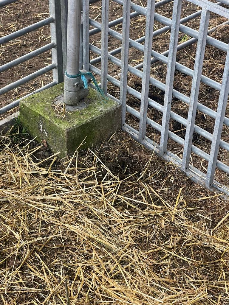 Flexibele supersterke demontabele schapen/geitenstal., Meerdere dieren, Schaap