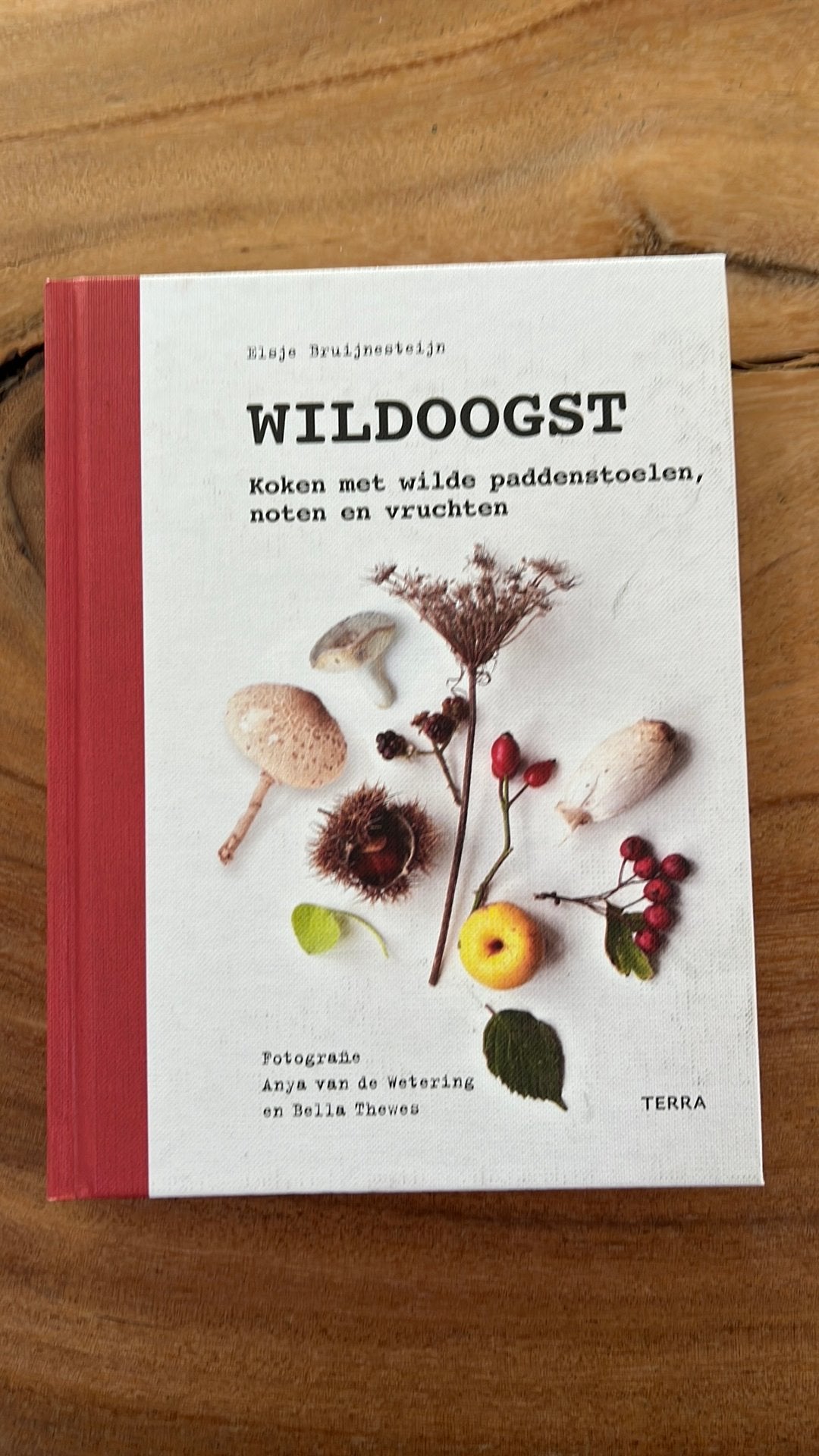 Elsje Bruijnesteijn - Wildoogst, Ophalen of Verzenden, Zo goed als nieuw, Elsje Bruijnesteijn