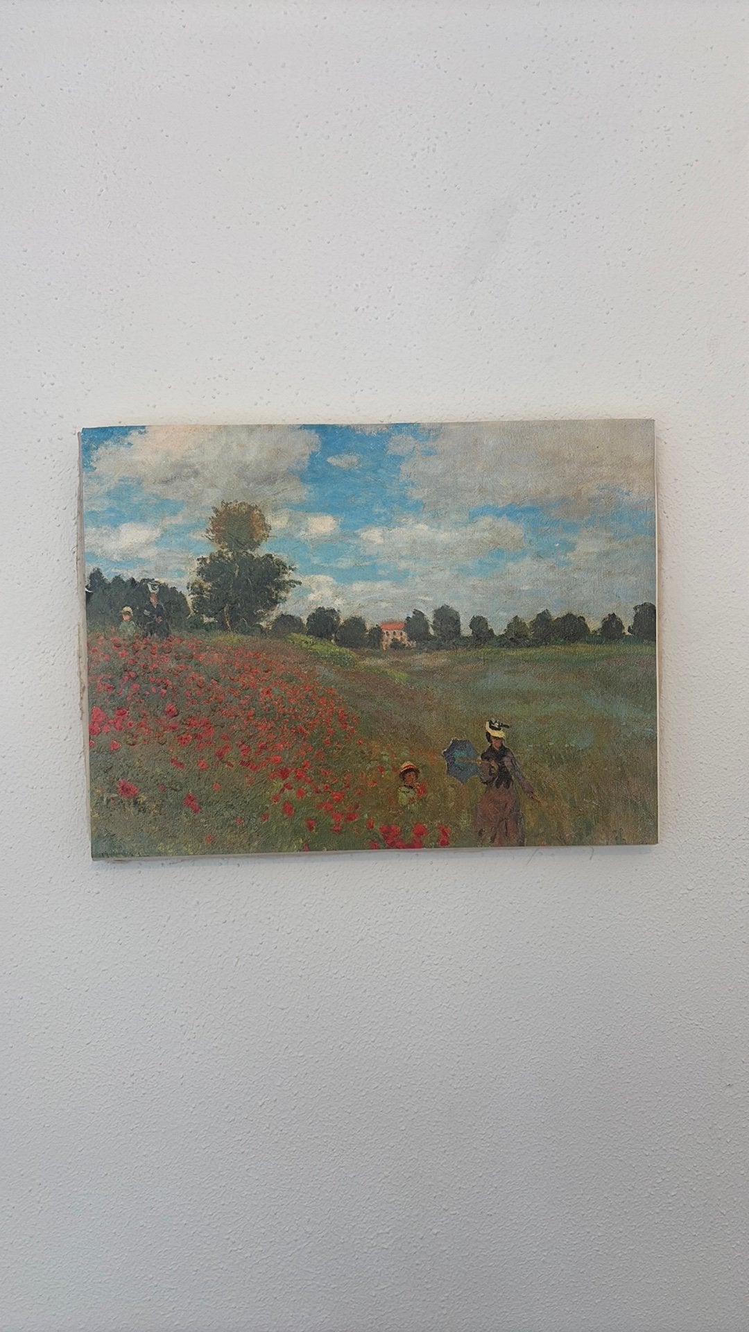 Klaprozen van Monet, Ophalen, Minder dan 50 cm, Print, 5 – 50