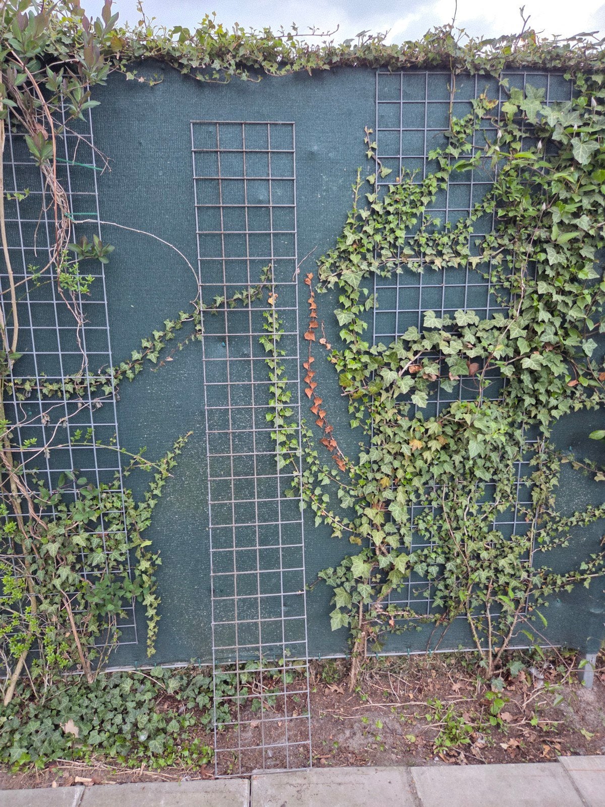 Gegalvaniseerde gaaspanelen 30 cm x 2 meter (meerdere), Tuin en Terras, Gaas en Draad, Ophalen, Minder dan 10 meter