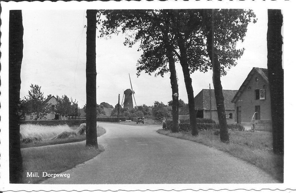 Oude Ansichtkaart Mill, Dorpsweg met Molen, Verzamelen, Ophalen of Verzenden, 1960 tot 1980, Ongelopen, Noord-Brabant