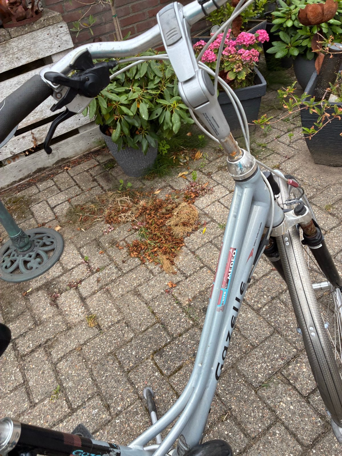 Gazelle Medeo Damesfiets - 24 versnelling igst, Ophalen, Gebruikt, Velgrem, 47 tot 50 cm