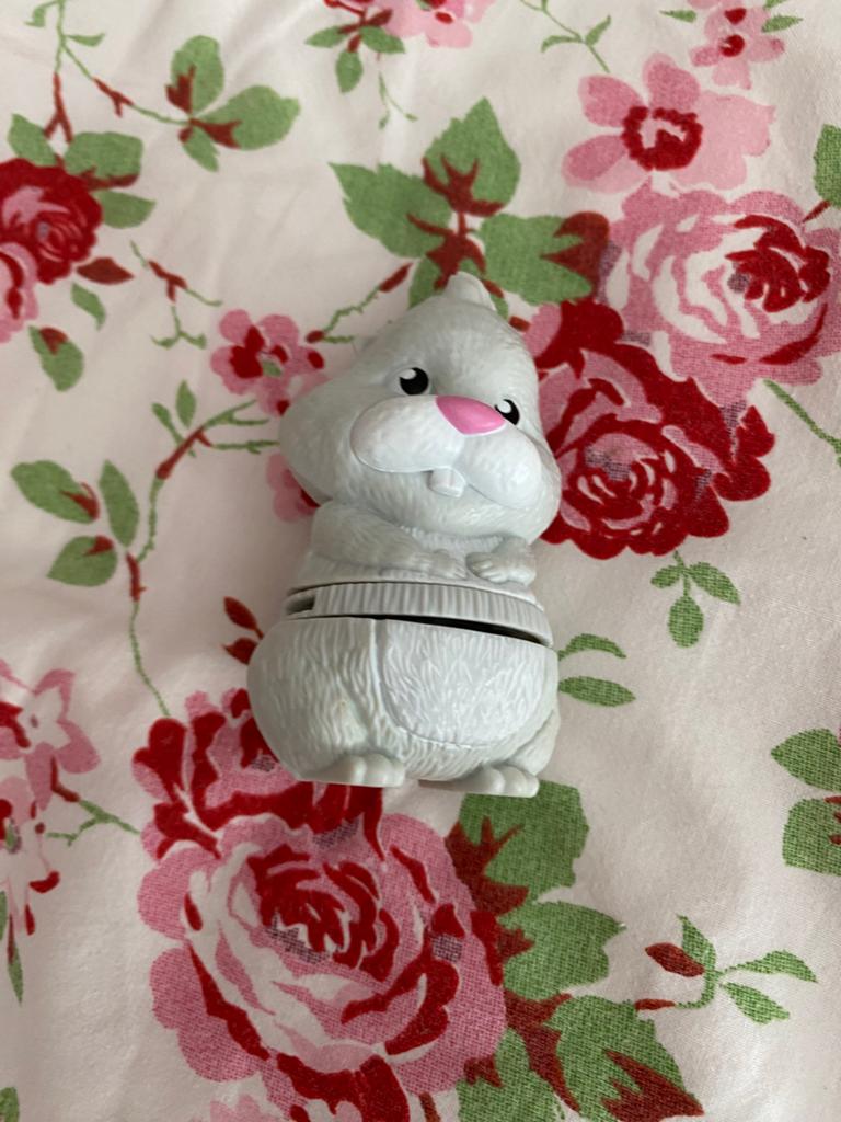 Hamster, Ophalen of Verzenden, Jongen of Meisje