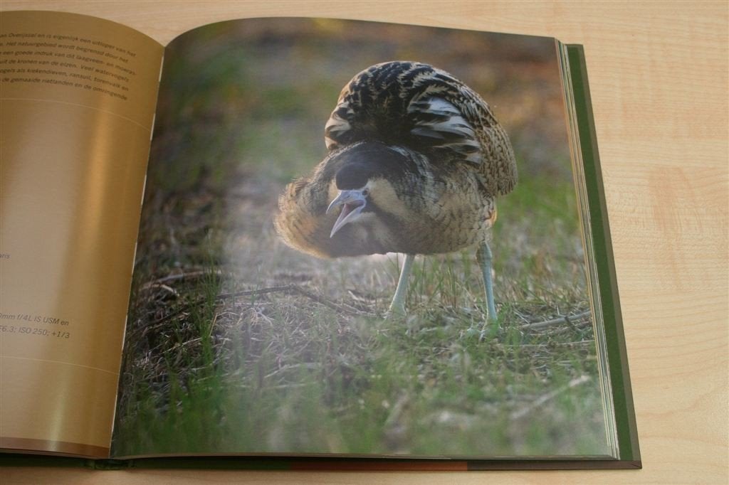 Birdpix 6: Vogels Fotograferen — 88 Tips voor Vogelgebieden, Ophalen of Verzenden, Zo goed als nieuw, Vogels
