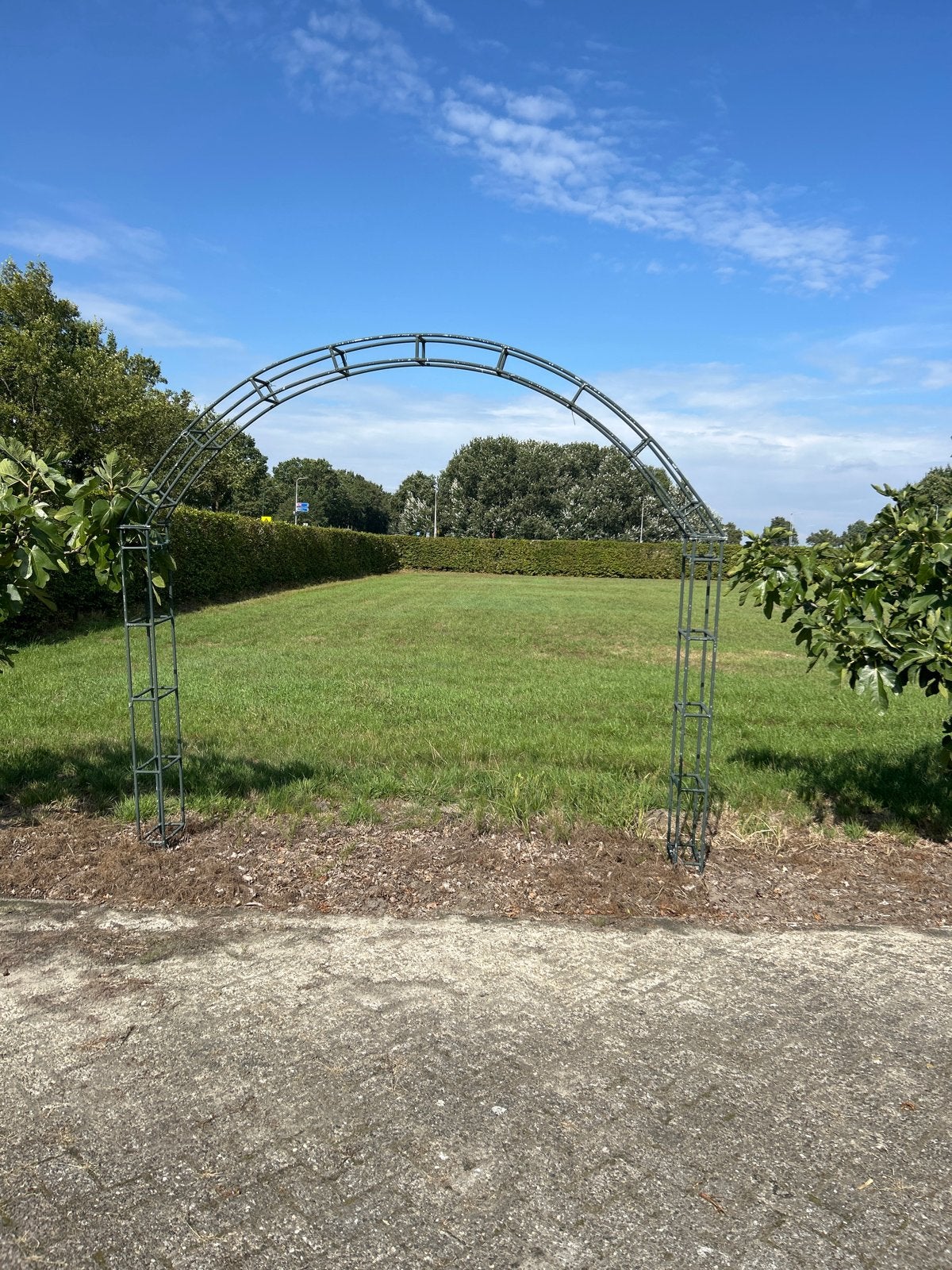 Robuuste metalen tuinboog - 3m breed, 2.8m hoog, Tuin en Terras, Tuinwanddecoratie, Ophalen of Verzenden, Gebruikt
