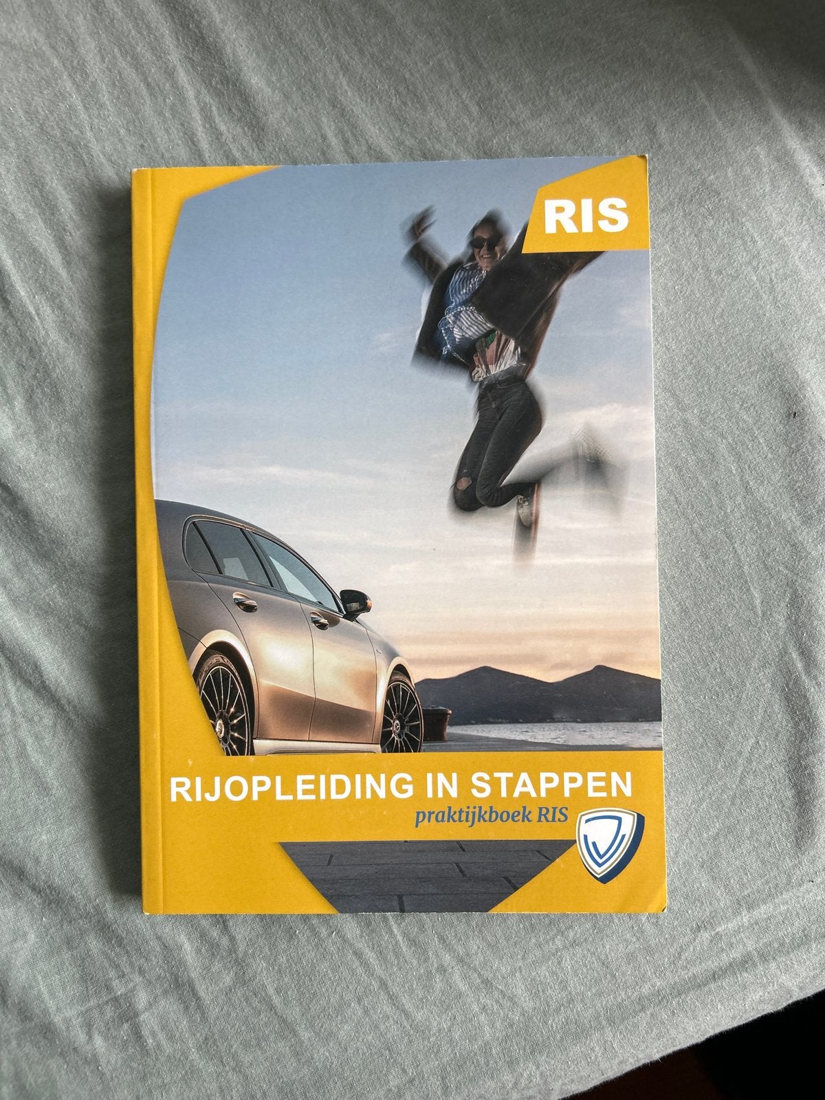 Rijopleiding in Stappen (RIS) Praktijkboek - Rijbewijs B, Ophalen of Verzenden, Zo goed als nieuw, Overige niveaus