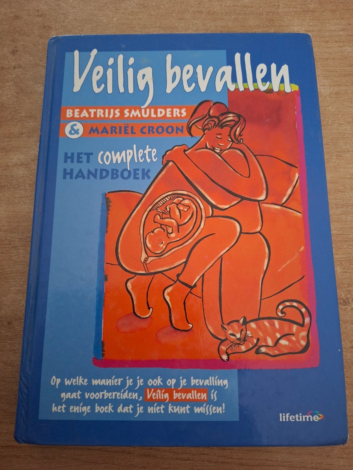 Boek Veilig bevallen, Ophalen of Verzenden, Gelezen, Zwangerschap en Bevalling