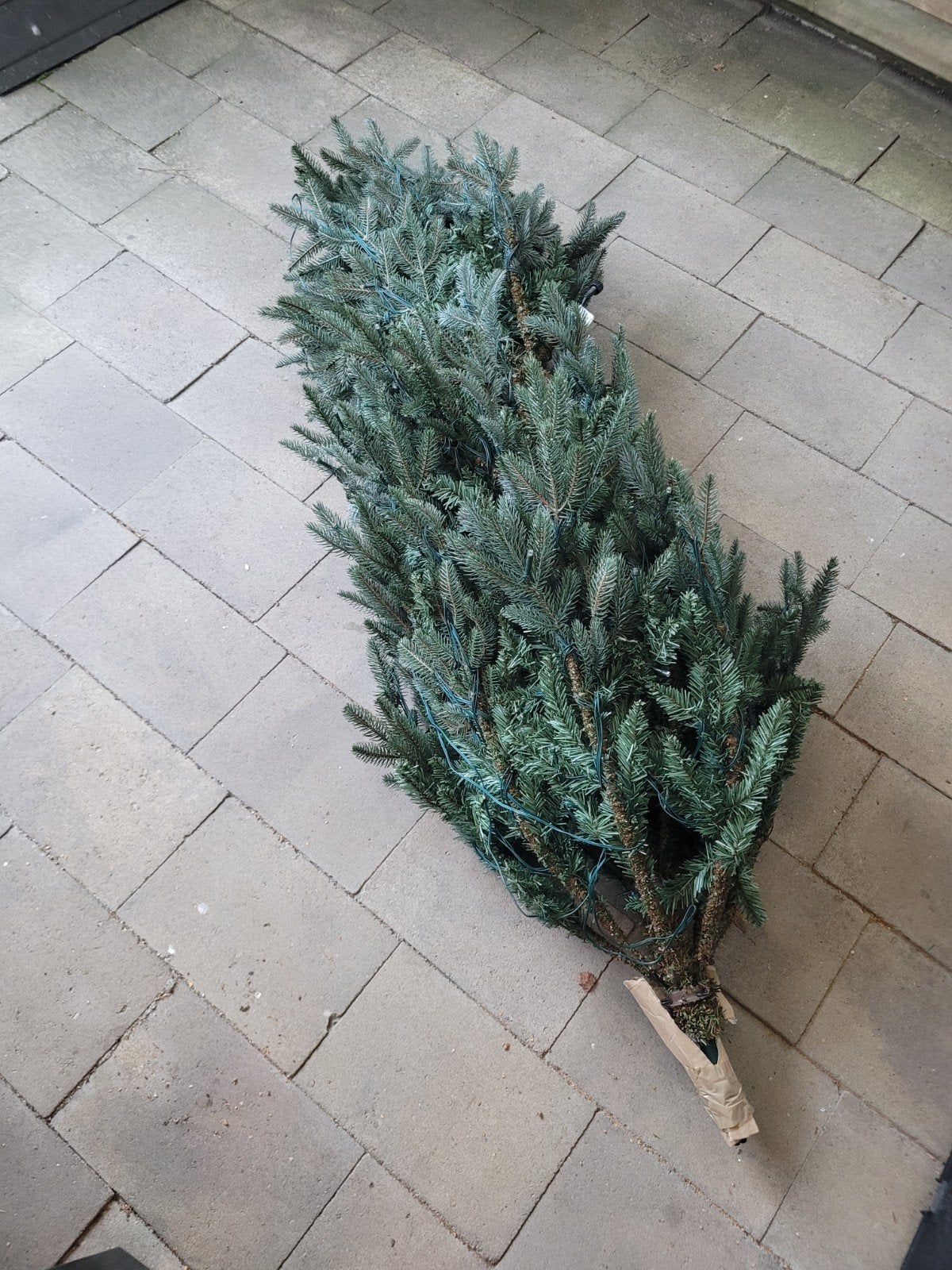Kerstboom, Diversen, Ophalen