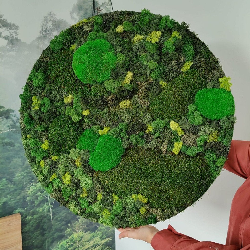 Handgemaakt rond mosschilderij / moscirkel 50cm, Groen, Geluiddempend, Nieuw, Ophalen of Verzenden