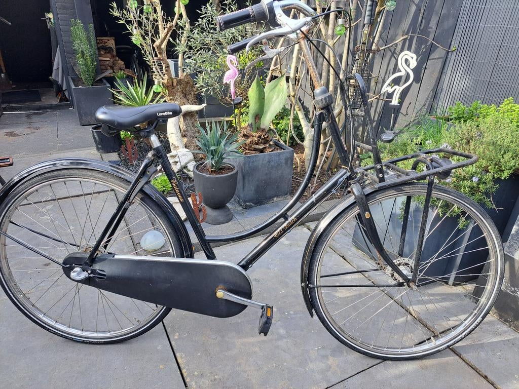 Opoefiets Batavus Old Dutch. Versnelling (repareren), Ophalen, Gebruikt, Batavus, 56 cm of meer