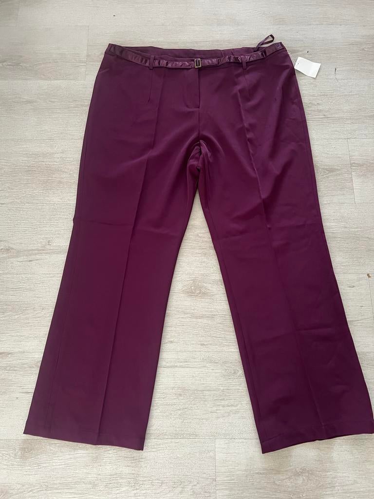 Pantalon maat 52, Kleding | Dames, Grote Maten, Ophalen of Verzenden, Nieuw, Paars, Broek of Spijkerbroek