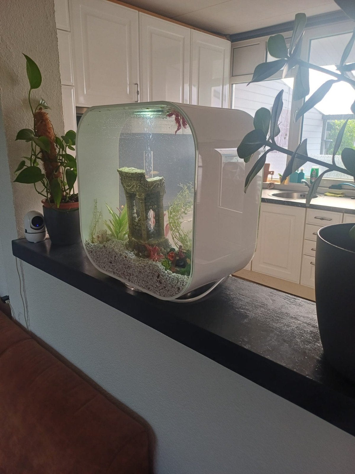 Aquarium 26l, Dieren en Toebehoren, Ophalen, Zo goed als nieuw