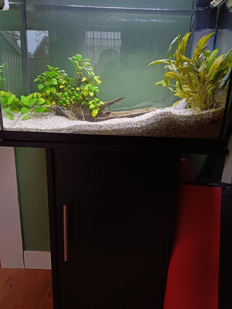 aquarium, Dieren en Toebehoren, Ophalen, Gebruikt, Leeg aquarium, Superfish