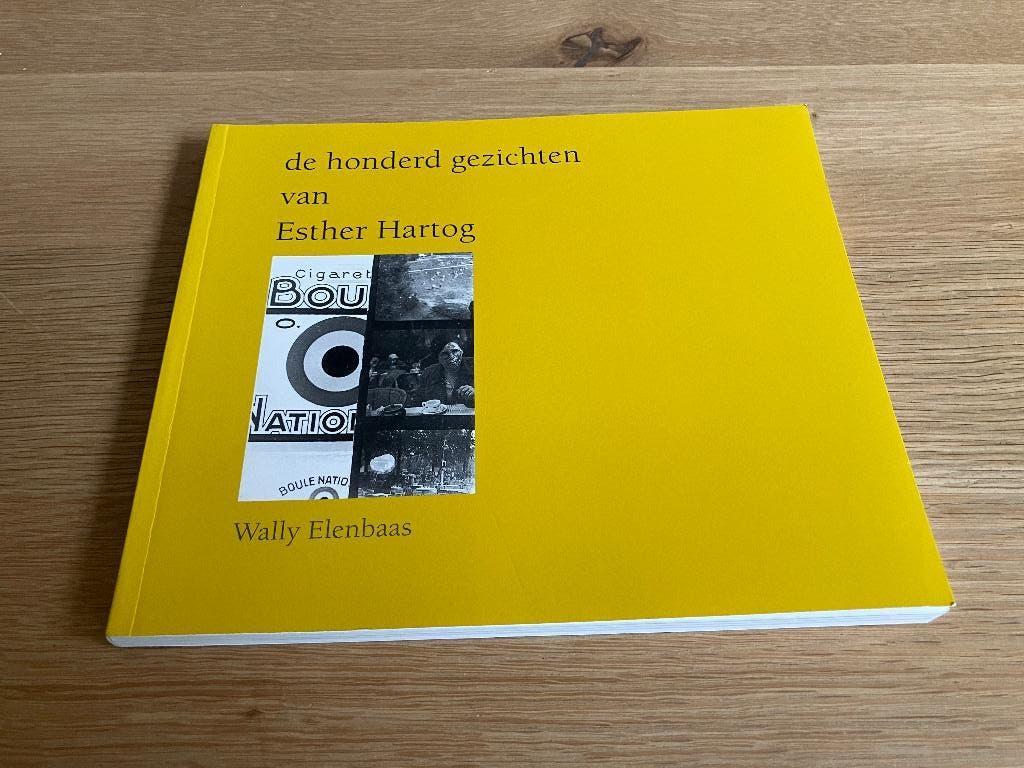 De honderd gezichten van Esther Herzog (Wally Elenbaas) 2002, Boeken, Ophalen of Verzenden, Zo goed als nieuw, Fotografen