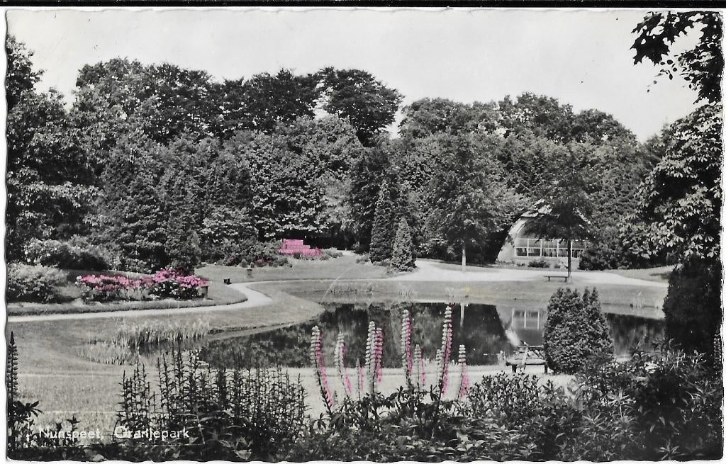Nunspeet, Oranjepark, vijver, lupinen, bankje, huis, Verzenden, 1960 tot 1980, Gelopen, Gelderland