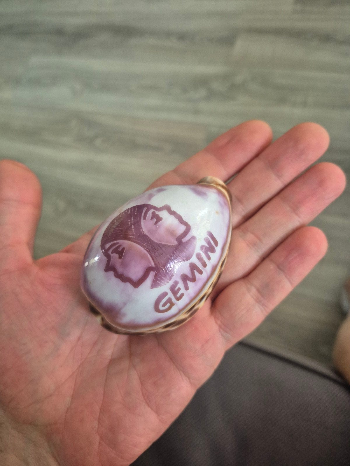 Mooie kauri schelp met Gemini opdruk, Ophalen of Verzenden
