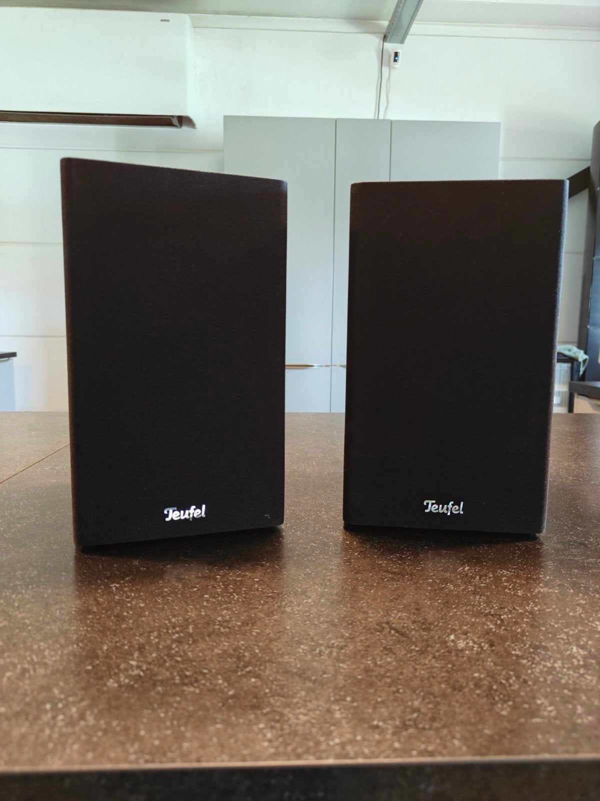 Teufel VT 11 speakers met upgrade en banaanstekker terminals, Gebruikt, 60 tot 120 watt, Basreflex, Boekenplank luidspreker