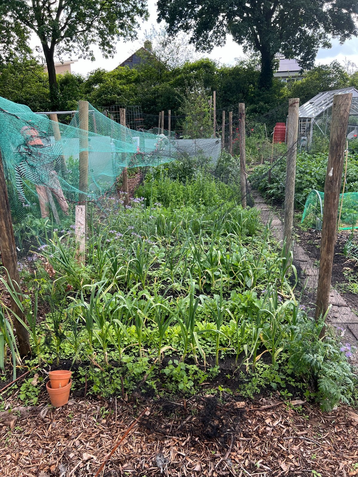Vogelnet voor tuin (3x10 meter), Tuin en Terras, Gaas en Draad, Ophalen of Verzenden, Gebruikt, 10 tot 20 meter, Gaas