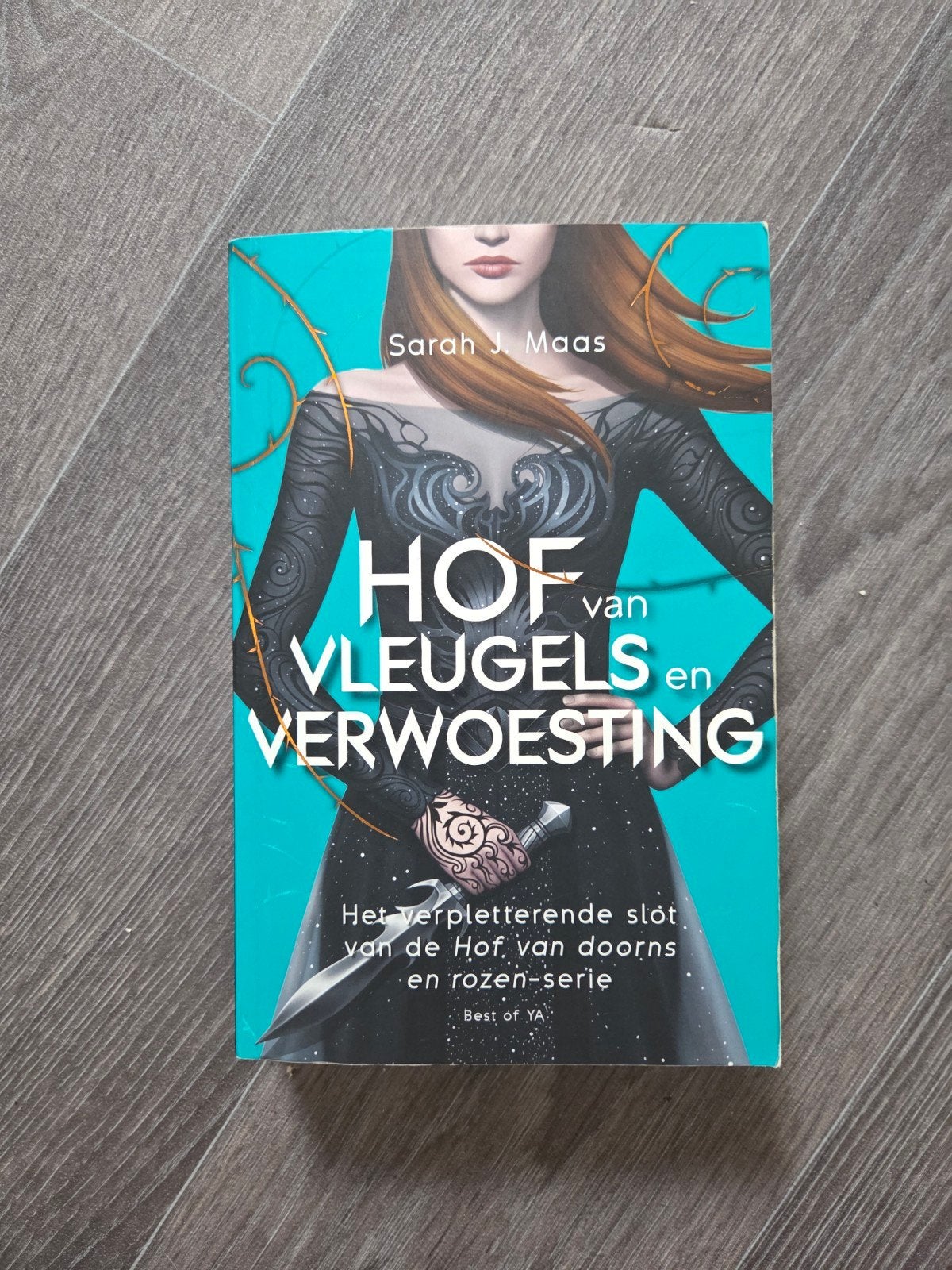 hof van vleugels en verwoesting van sarah j maas, Boeken, Ophalen of Verzenden, Zo goed als nieuw