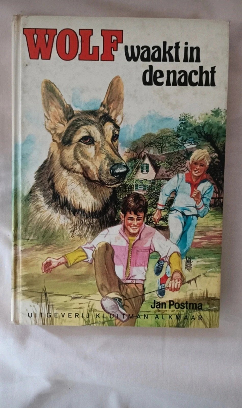Wolf waakt in de nacht - Jan Postma (Kluijtman), Boeken, Ophalen of Verzenden, Gelezen, Jan Postma, Fictie algemeen