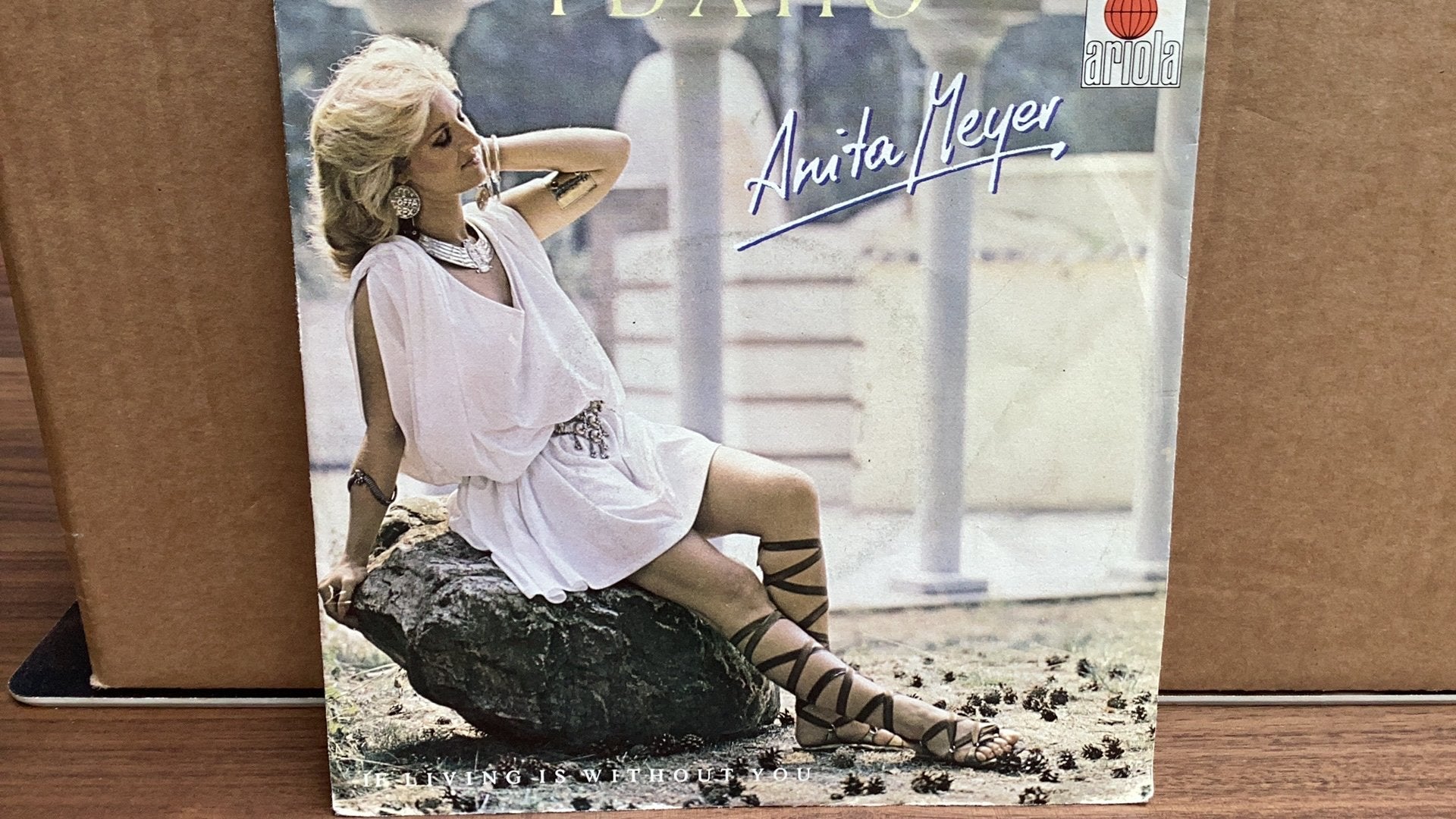 Anita Meijer. Idaho., Ophalen of Verzenden, Zo goed als nieuw