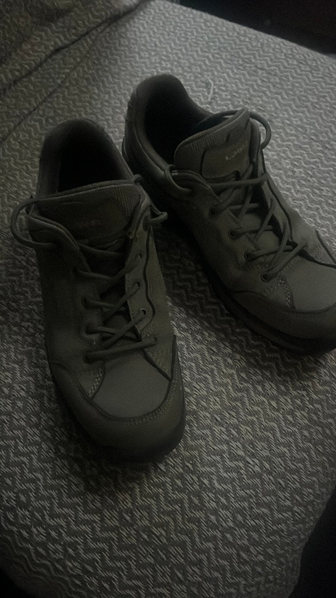 Lowa Renegade GTX LO WS NIEUW Wandelschoenen, Ophalen of Verzenden, Zo goed als nieuw, Schoenen