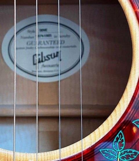 Foto 9 van Gibson Dove , Bozeman Montana & case 2011 zganwst.