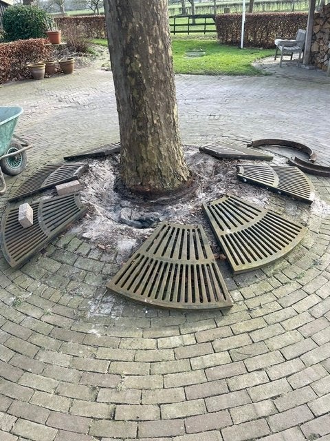 Boomspiegel gietijzer, Tuin en Terras, Ophalen, Gebruikt