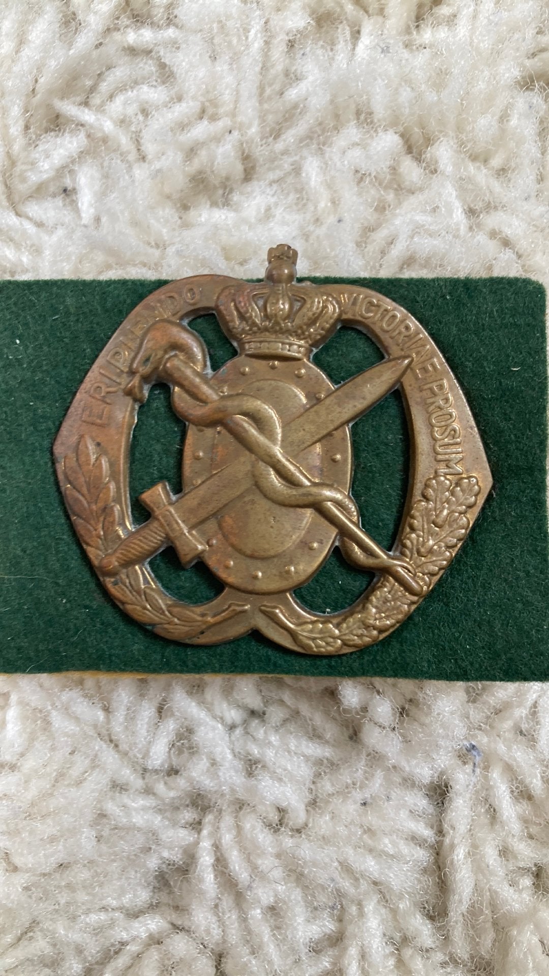 Baretembleem Geneeskundige Dienst, Verzamelen, Ophalen of Verzenden, Landmacht, Nederland, Embleem of Badge