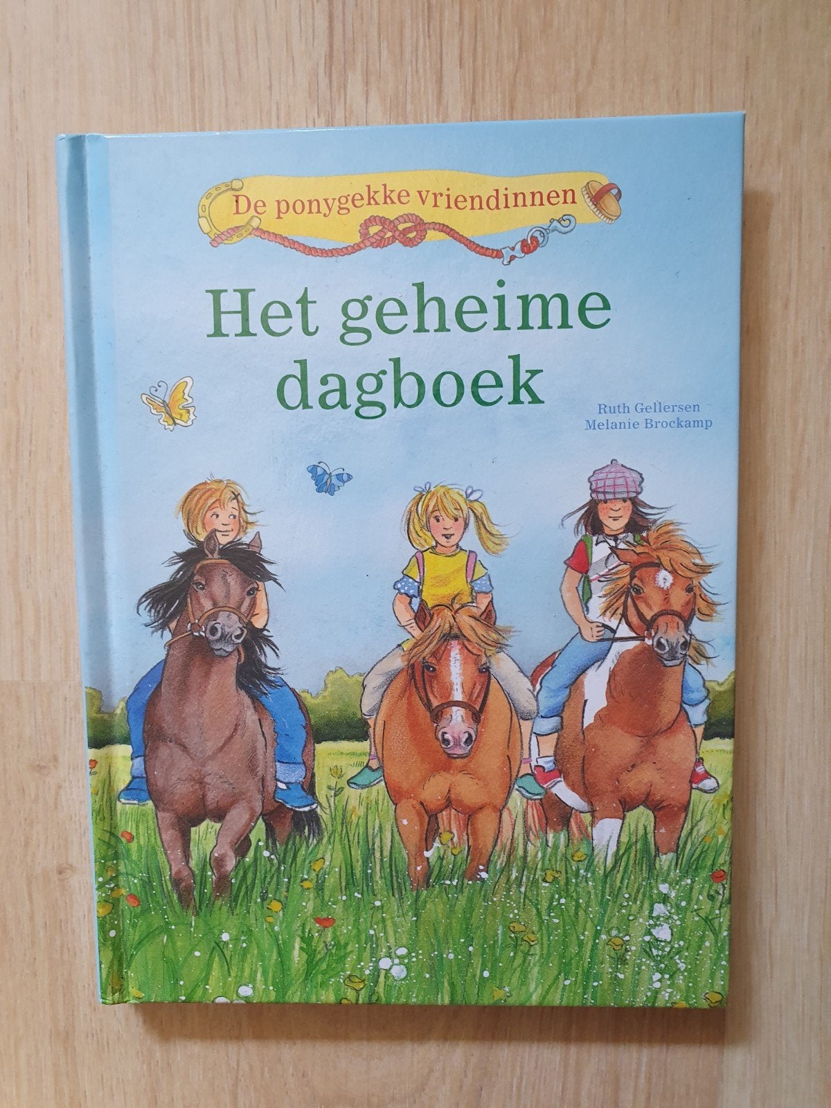 Ponygekke vriendinnen / Het geheime dagboek., Boeken, Ophalen of Verzenden, Fictie algemeen