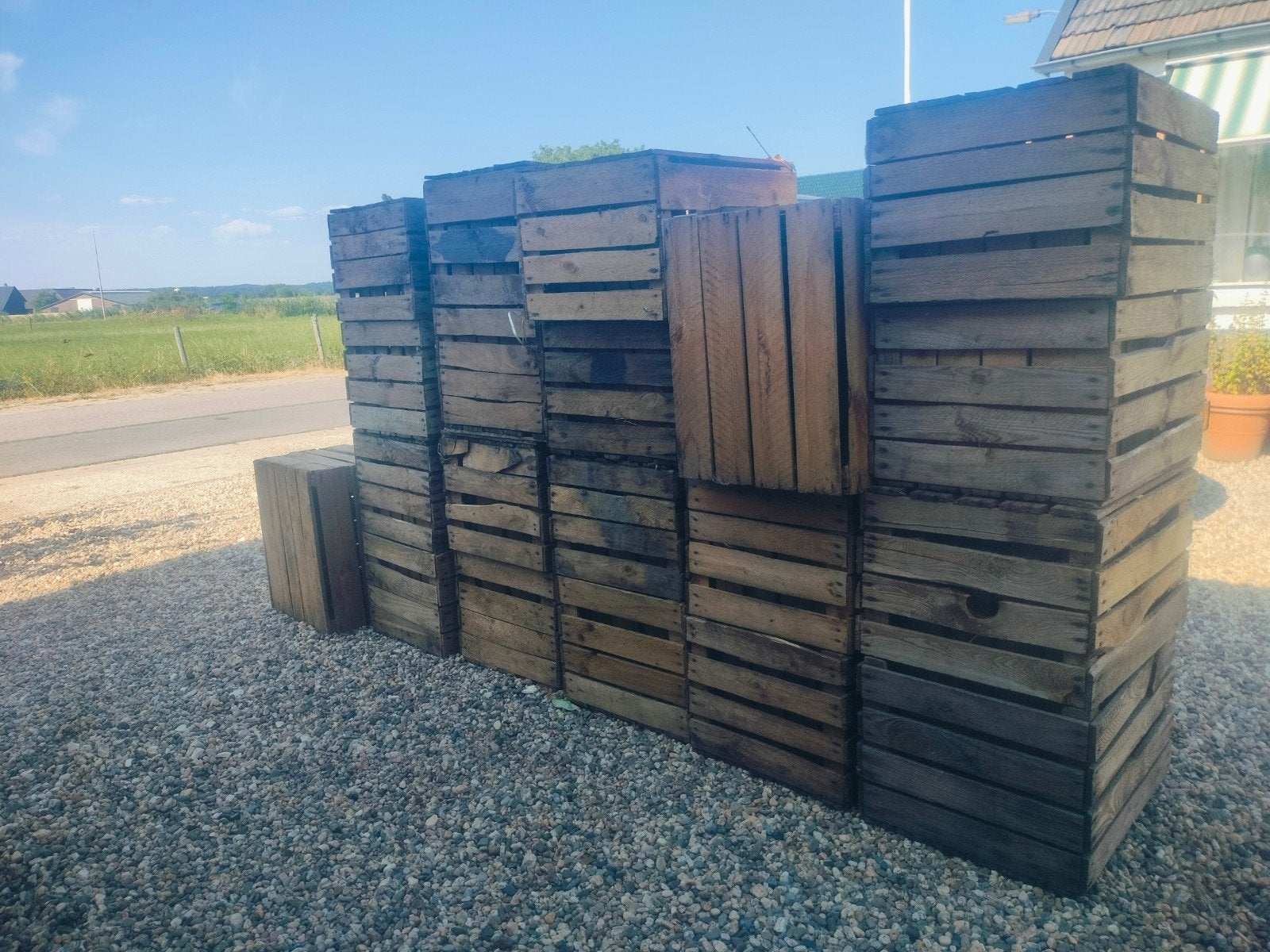 20 Robuuste houten fruitkisten / veilingkistjes, Ophalen, Minder dan 50 cm, Gebruikt, Minder dan 50 cm