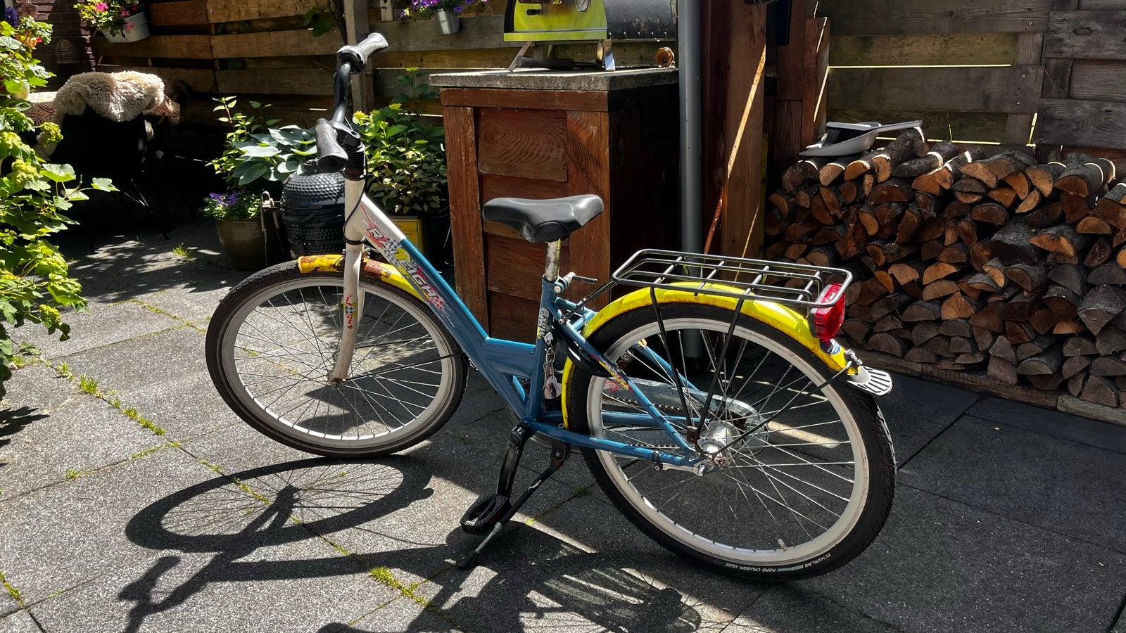 Raleigh kinderfiets 20 inch - Gebruikt, Ophalen, Gebruikt, Terugtraprem, 20 inch of meer