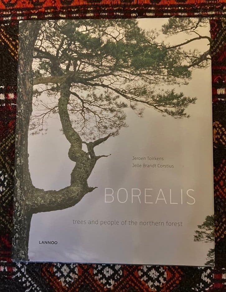 Jeroen Toirkens Borealis, Ophalen of Verzenden, Zo goed als nieuw, Fotografen