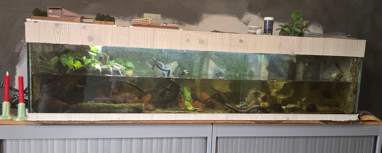aquarium met custom made achterwand, Ophalen, Gevuld zoetwateraquarium