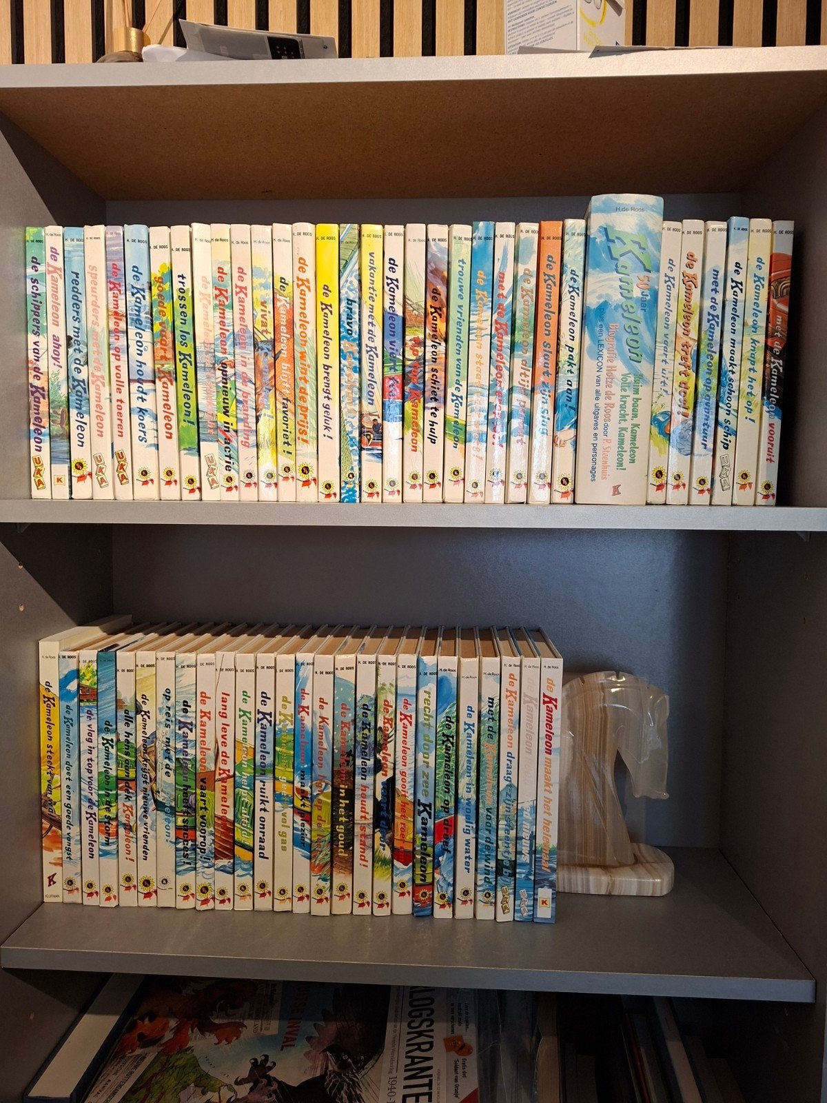 Complete serie De Kameleon van Hotze de Roos + biografie, Ophalen of Verzenden, Zo goed als nieuw, Hotze de Roos