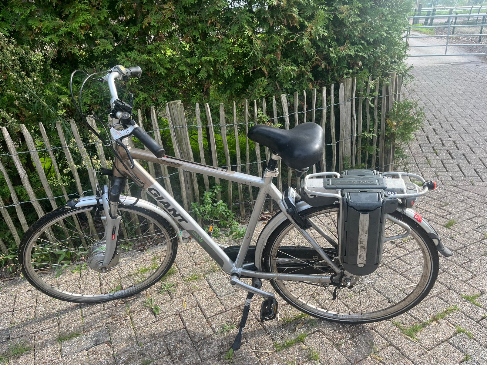 Giant electric fiets, Ophalen, Zo goed als nieuw, Overige merken