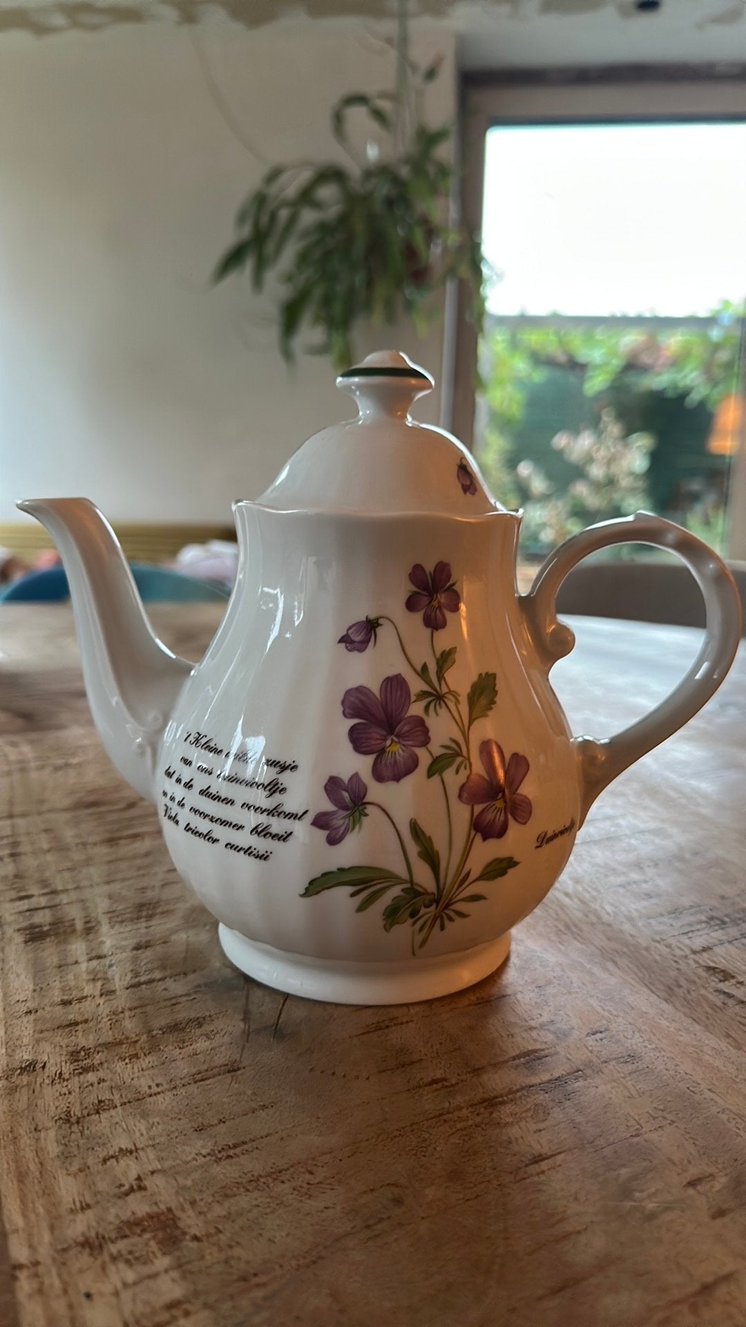 Duinvioolte theepit libelle, Ophalen of Verzenden