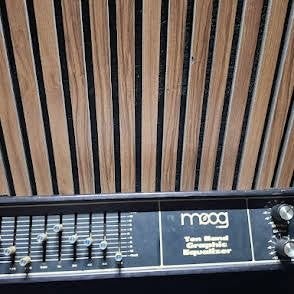 Moog MKG Ten Band Graphic Equalizer, Ophalen of Verzenden, Gebruikt, Multi-effect