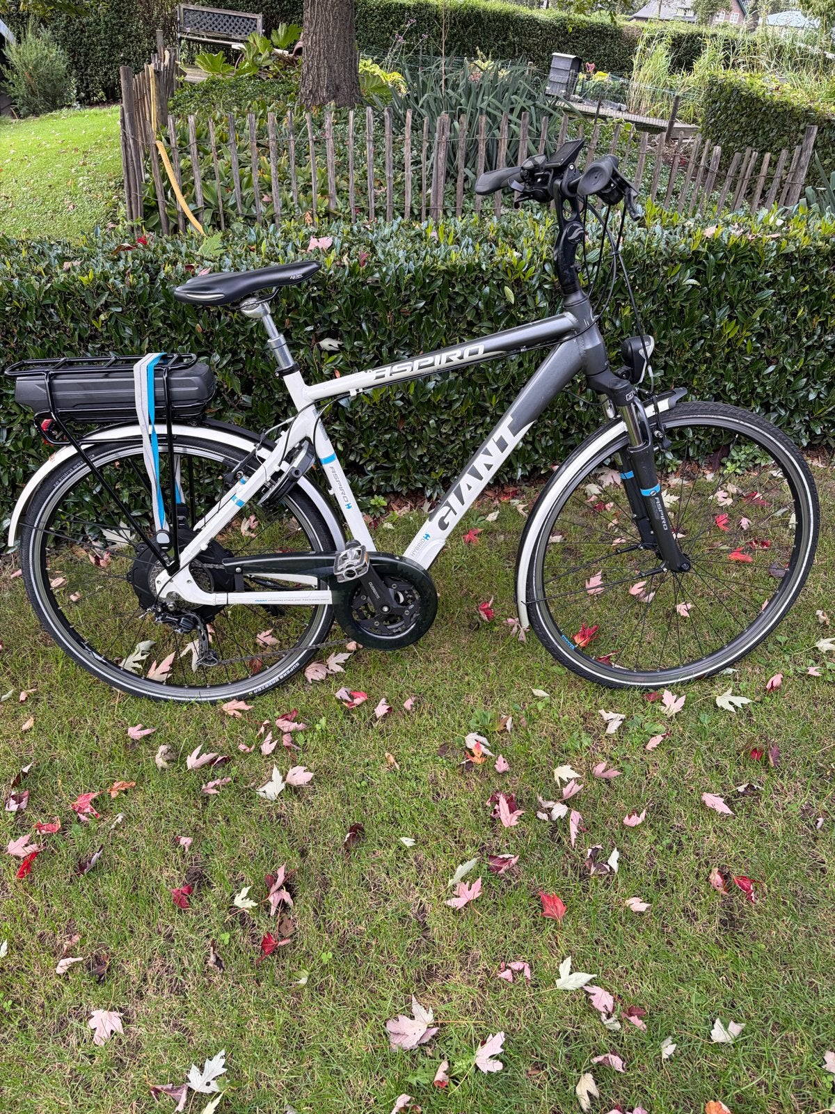 Giant Aspiro E+ elektrische fiets, Fietsen en Brommers, 51 tot 55 cm, Ophalen, Gebruikt, Giant