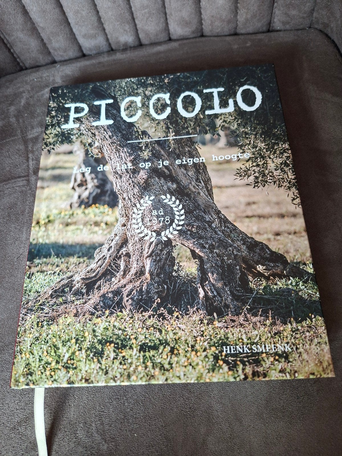Piccolo - Leg de lat op je eigen hoogte - Henk Smeenk, Ophalen of Verzenden, Zo goed als nieuw, Henk Smeenk, Nederland