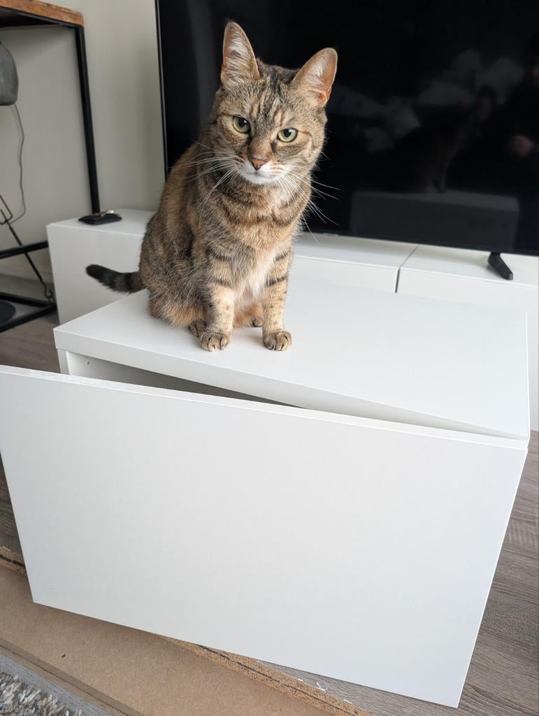 Ikea Besta Kast Wit Softclose, Huis en Inrichting, Kasten | Wandmeubels, Ophalen, Minder dan 150 cm, Minder dan 100 cm, 25 tot 50 cm