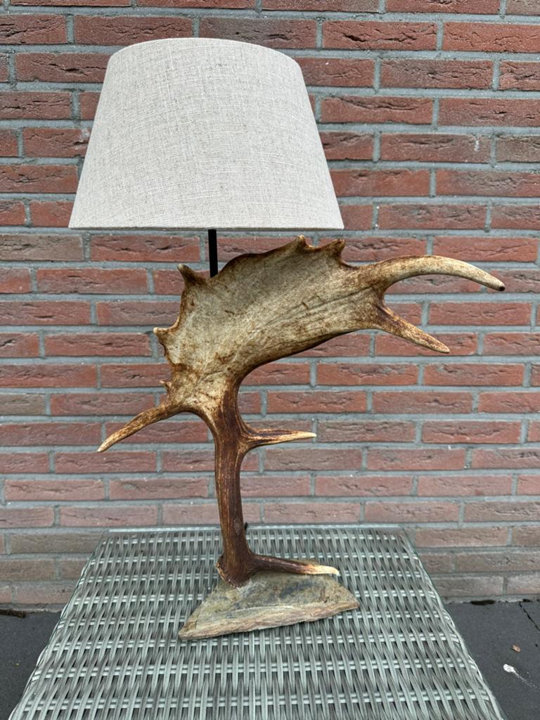 Geweilamp.schemerlamp.geweien.edelhert.damhert.tafellamp., Ophalen of Verzenden, Nieuw, 50 tot 75 cm