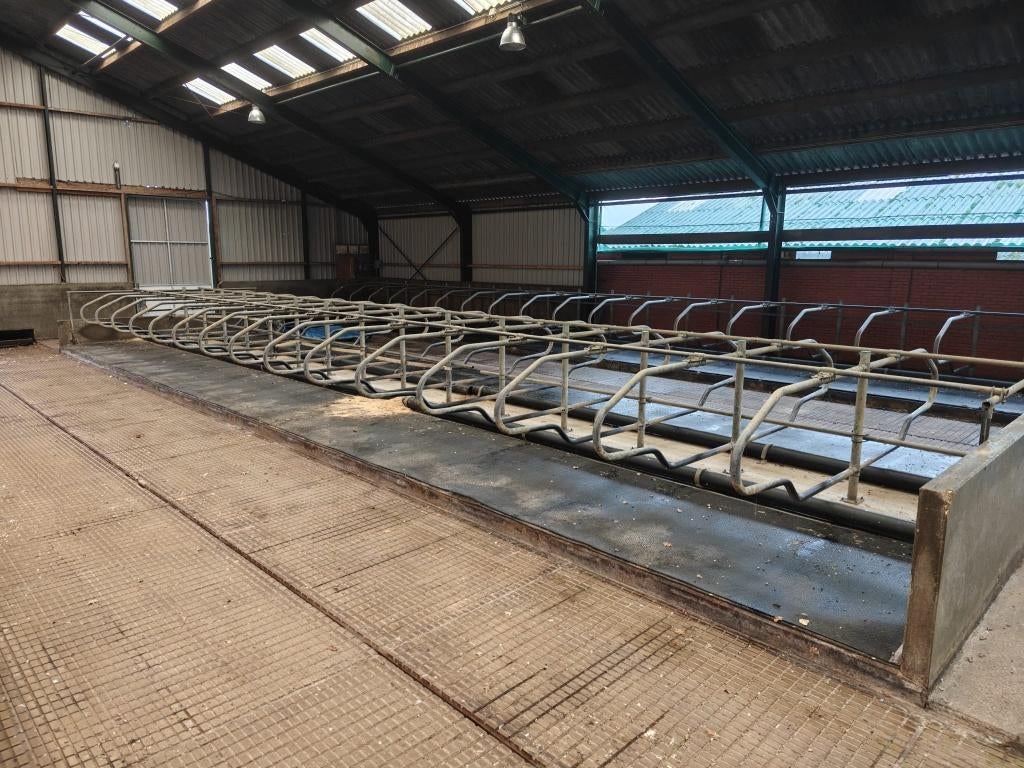 GEA Spinder de Boer stalinrichting